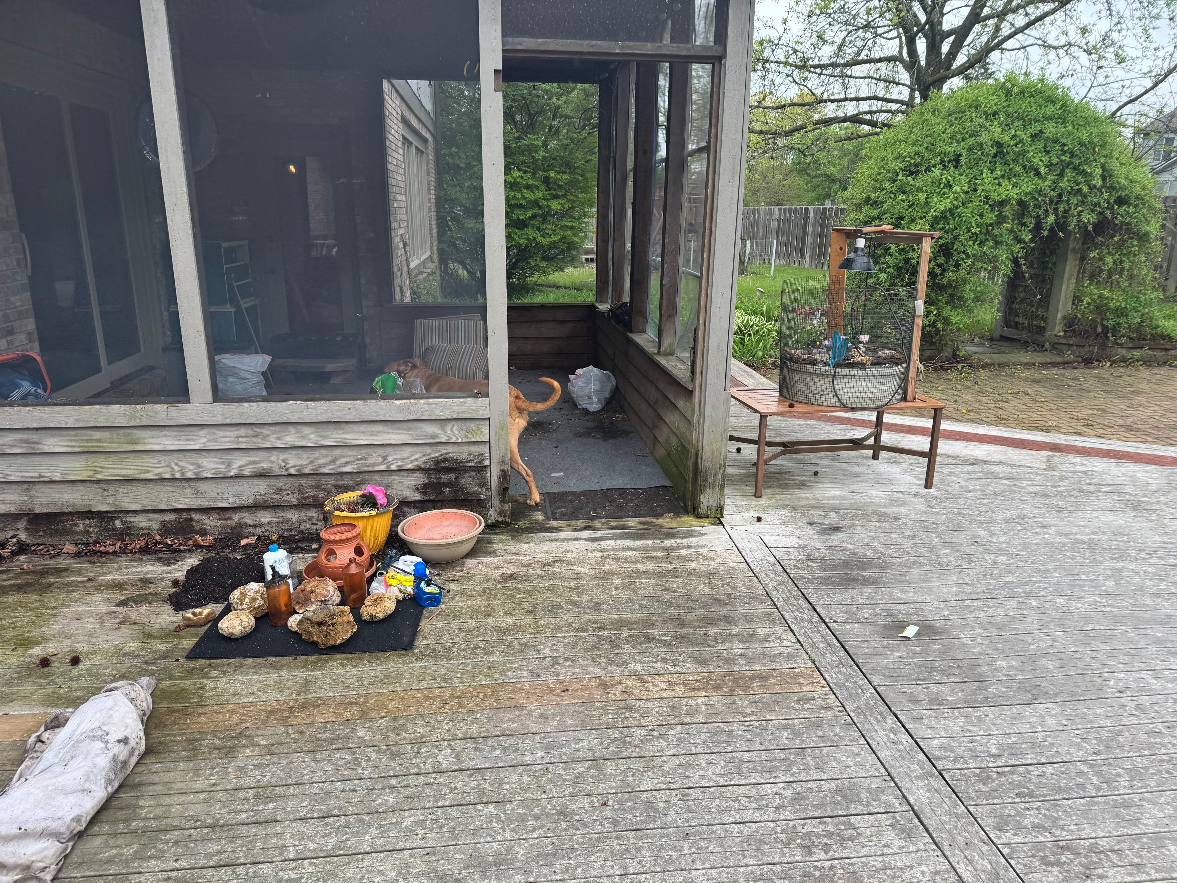 Porch before cleanup showing accumulated items